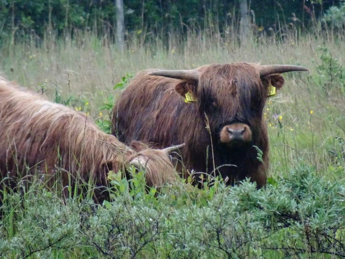 Willa Prachtige Woning Aan De Duinen Den Helder Zewnętrze zdjęcie