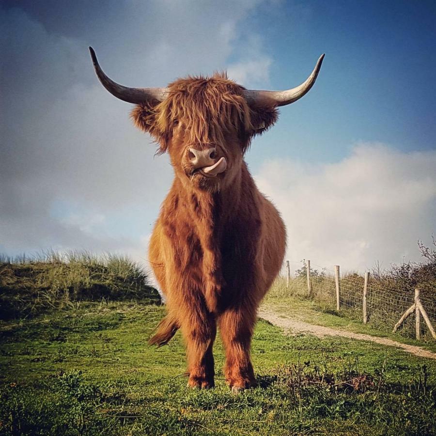 Willa Prachtige Woning Aan De Duinen Den Helder Zewnętrze zdjęcie